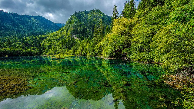 花呗自助套现平台_京东外卖白条商家