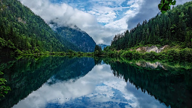 白条提现当面刷_商家已开通花呗