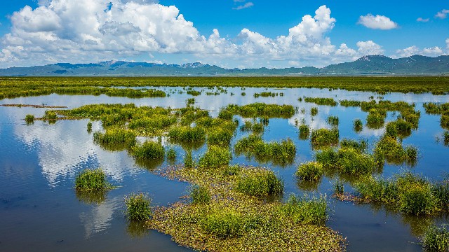 羊小咩信用钱包套现_还花呗银行卡显示什么