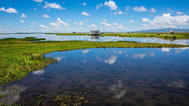 花呗套装抽奖_白条 套出来