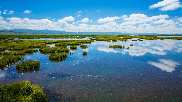 抖音月付可以套现吗贴吧怎么弄_抖音商家月付怎么设置