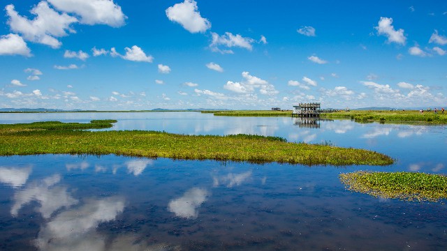 京东如何白条套现_宝鸡抖音月付商家