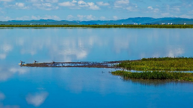 常熟医保怎么转出上海_抖音月付金可以套现吗