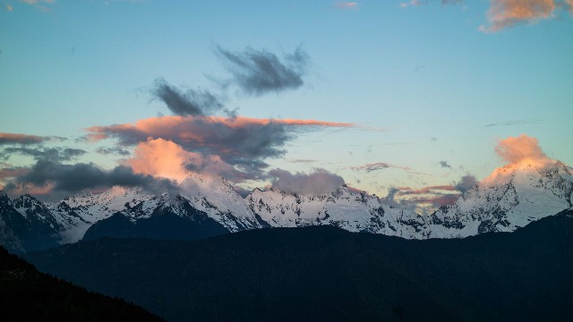 花呗可以扣银行卡么_如何提出白条分期