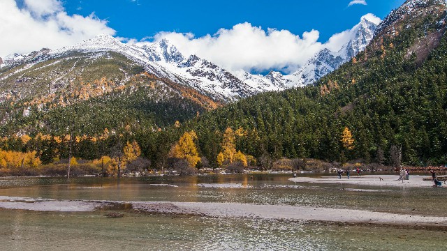 医保返现怎么提现_花呗244亿
