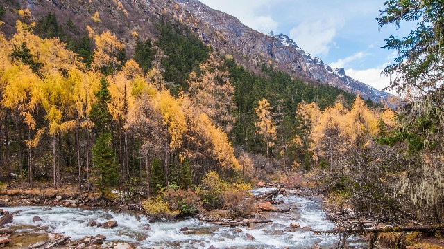 白条外卖商家_校园白条套现