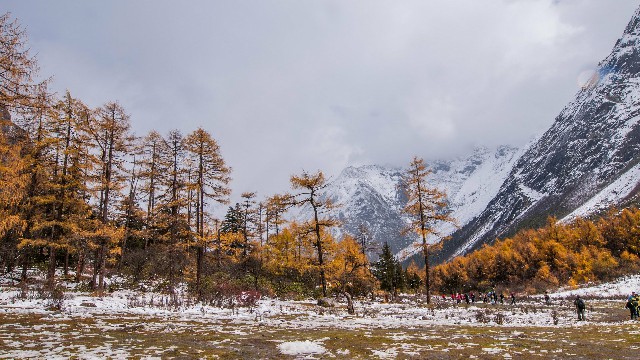 抖音月付一手商家多少钱_抖音怎么选月付商家