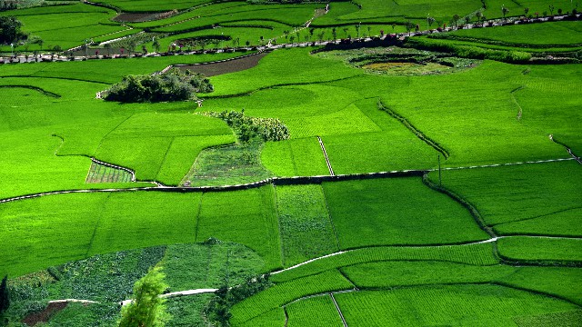 羊小咩平台也会出现诈骗_小店套现花呗