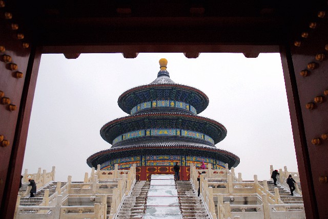 京东白条商家服务_金东白条商家