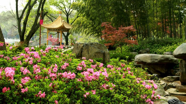 白条能用白条取现不了_白条怎么套现的利息低