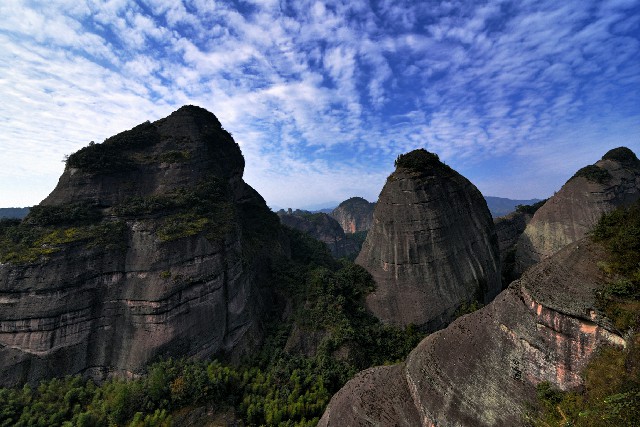 白条取现第二天能还吗吗_2018办白条套现