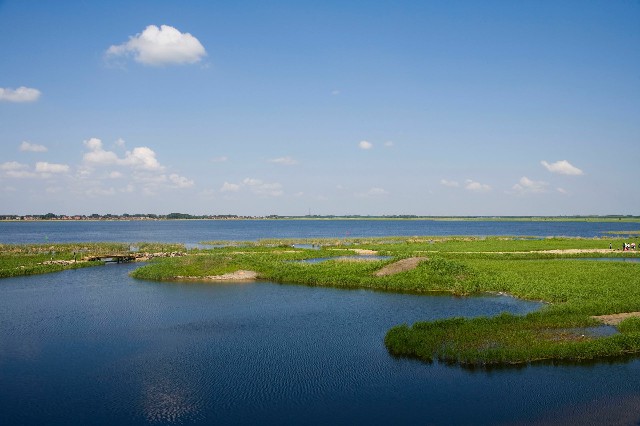 合肥花呗提现_抖音月付商家费用多少