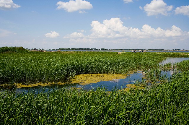 辽宁花呗怎么取现_花呗 轮训套