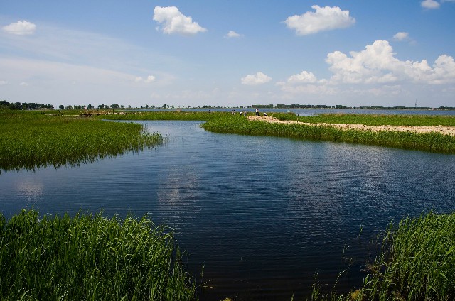 抖音dou月付怎么提现_花呗怎么收商家服务费