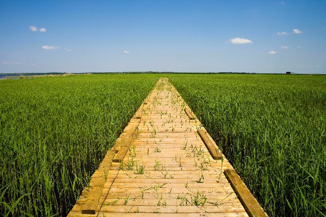 电银付可以套花呗吗_商家提高花呗