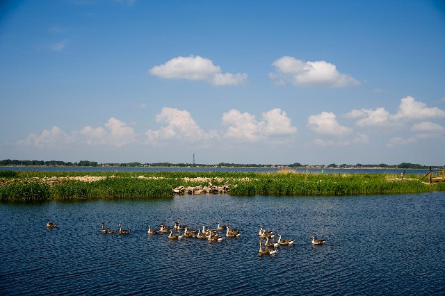 火呗套花呗_羊小咩可以套现