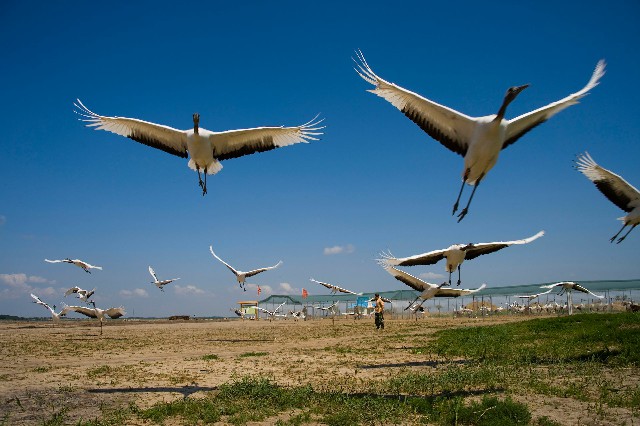 苹果蚂蚁花呗24_深圳医保卡 取现