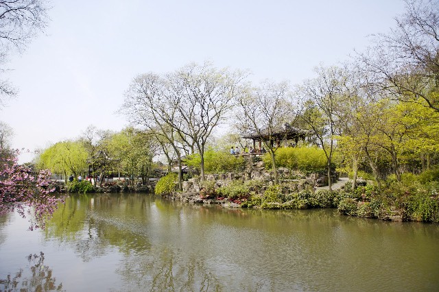 花呗取现后果_羊小咩怎么取出额度