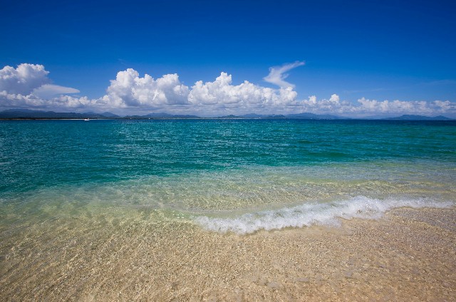 花呗大王卡套餐_南京转出医保怎么办