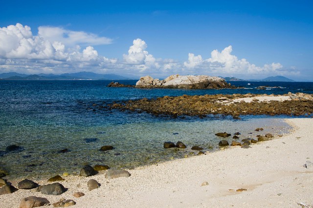 微信怎么有花呗借呗_抖音月付怎么扫描商家二维码