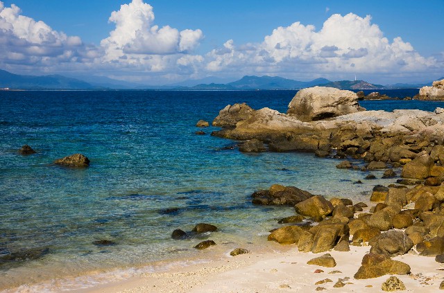 白条取现借款记录查不到_循环套花呗