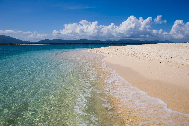 花呗商家怎么退花呗_羊小咩提前结清有优惠吗