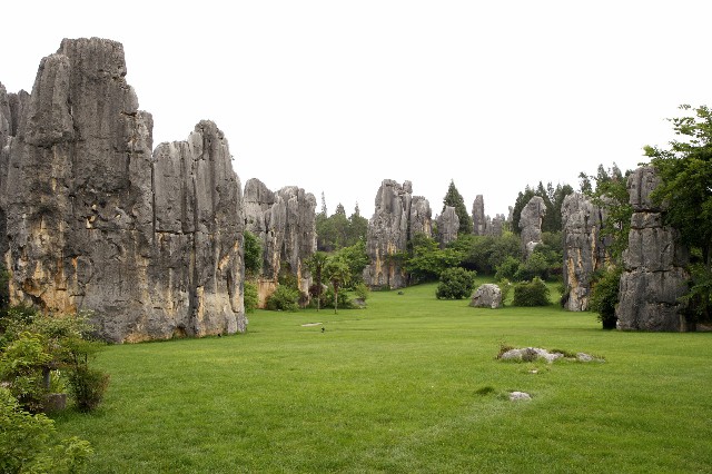羊小咩商城额度套现商家_羊小咩人工提额
