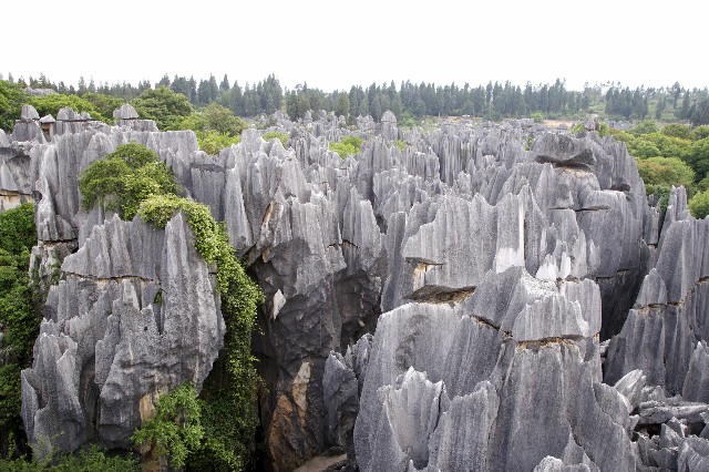 抖音月付提现啤酒司机_绵阳医保提现号码查询