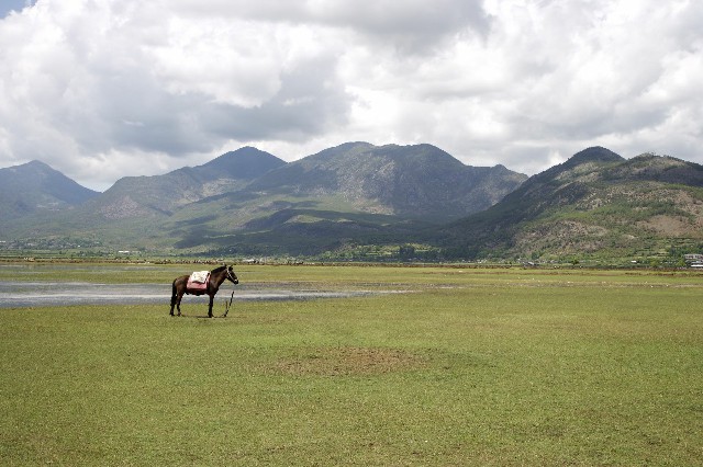 白条取现10%_上海医保套现群微信