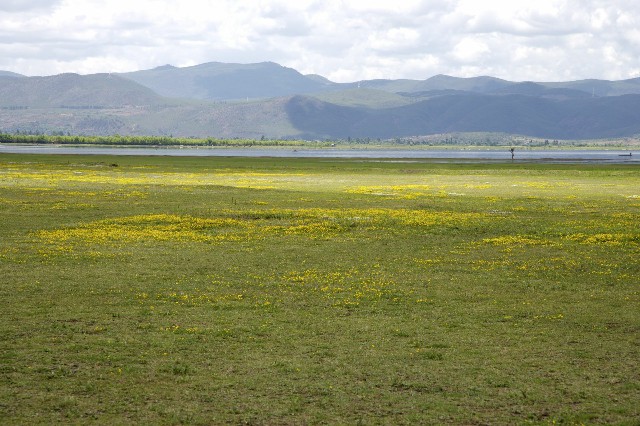羊小咩购物额度怎么变现_商家申请花呗收款