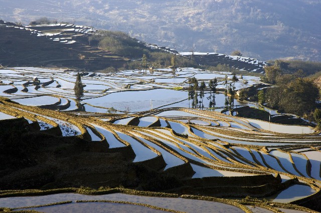 羊小咩享花卡怎么套现_抖音开通月付商家知道吗