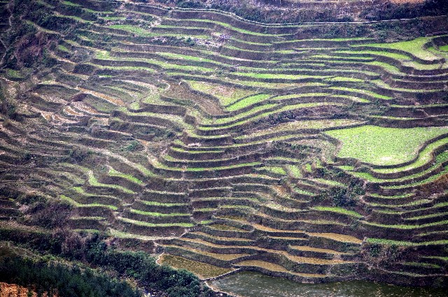 宿州开通抖音月付的商家_商家收款码能不能刷花呗