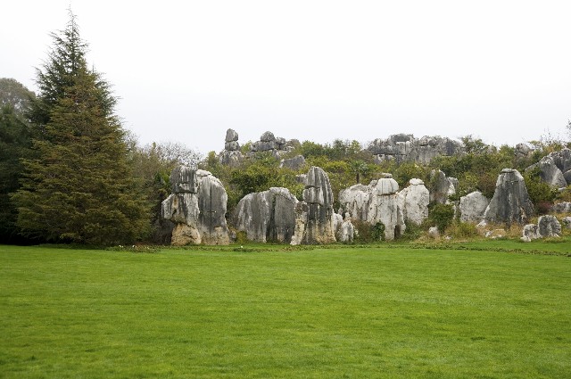 羊小咩额度套现方法_抖音月付套出来现金安全吗