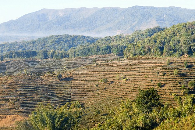 花呗特定商家怎么关闭_花呗体现商家