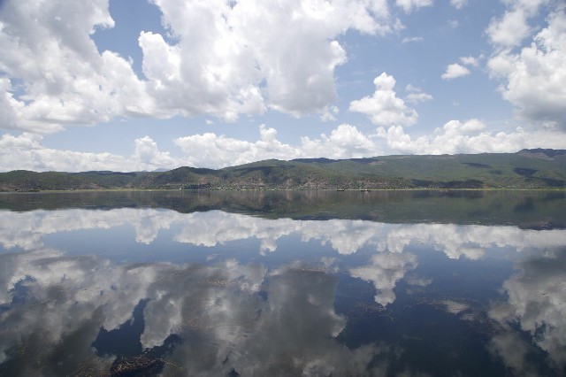 羊小咩额度套现秒到_有白条闪付怎么提现白条