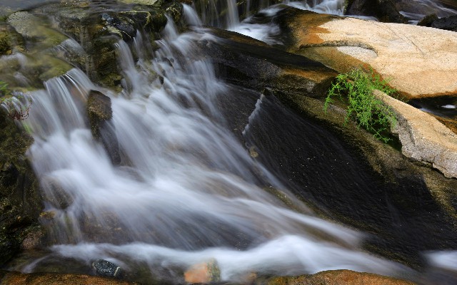 花呗每天套现多少_抖音月付可以付哪些商家