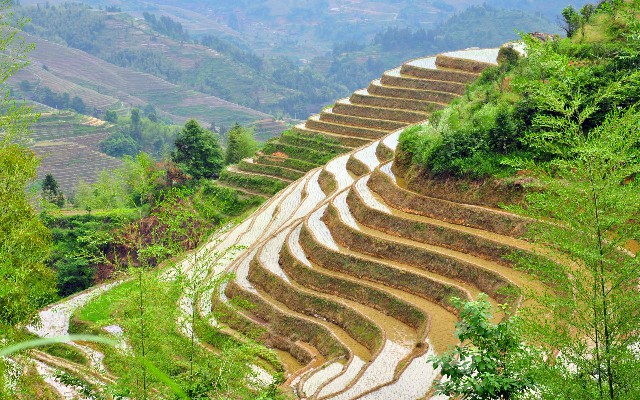 线下商家支持花呗_抖音月付新竹米粉怎么提现