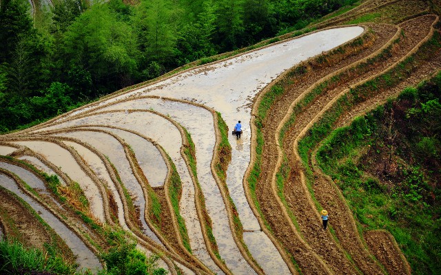 羊小咩会提额吗_京东白条押金怎么取出