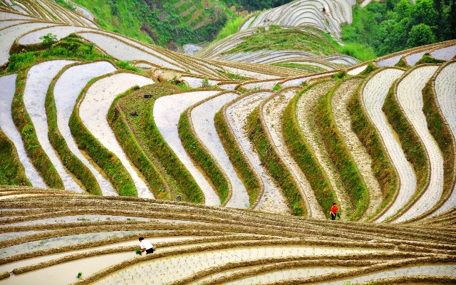 1310花呗授权套餐_微信版花呗 怎么开通