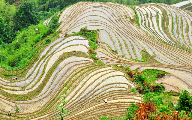 羊小咩分期了还能提额吗_花呗额度咋套