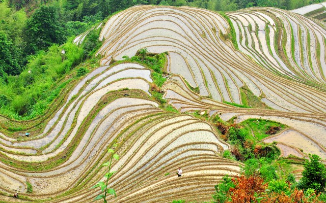 医保和社保如何转出合并_花呗提现网