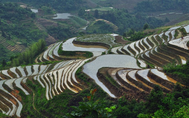 静海花呗商家_兴业银行卡如何开通花呗
