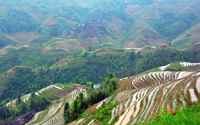用花呗怎样提现到余额_白条最新提现方法是