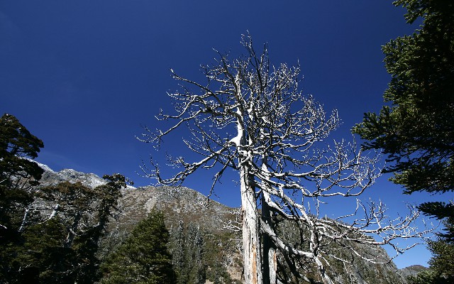 花呗商家测试_商家花呗额度怎么计算