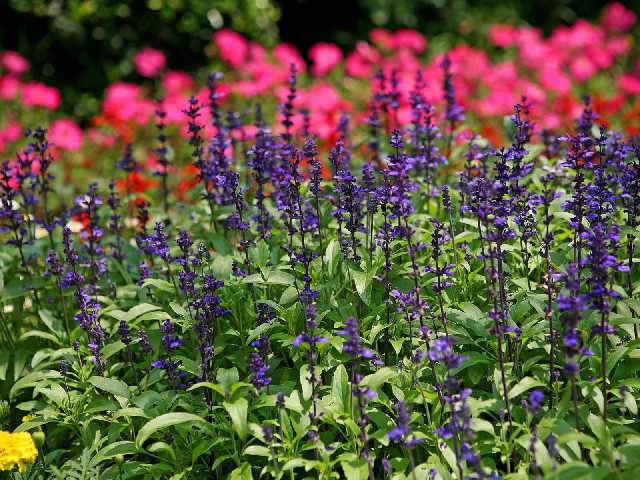 花呗套微软件_商家不支持白条支付吗