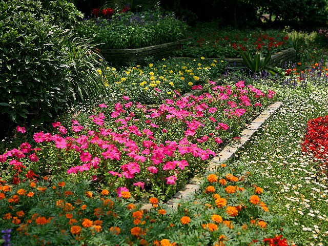 抖音月付风控了怎么套现_商家付款打白条