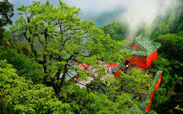 白条如何套现2021_移动套餐花呗扣款时间