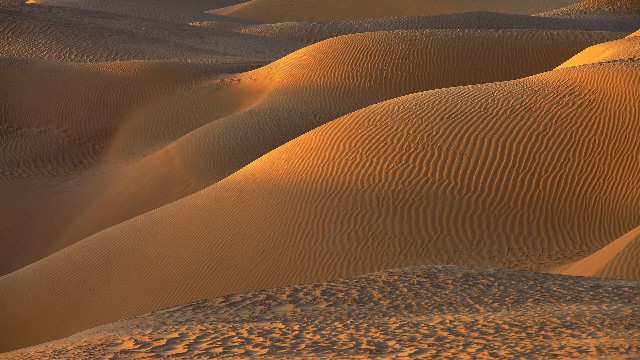 我的白条怎么提现_团购怎么看可以用抖音月付的商家