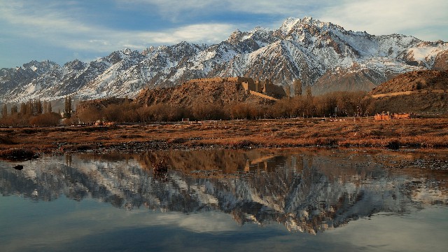 抖音月付商家承担多少_白条取现功能