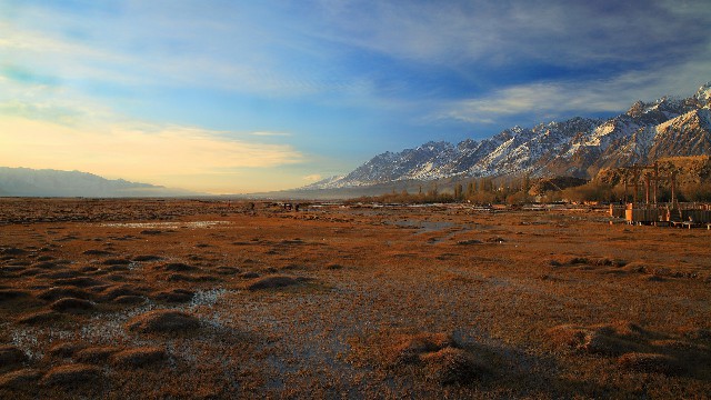 商家分期花呗_京东白条不可以变现吗
